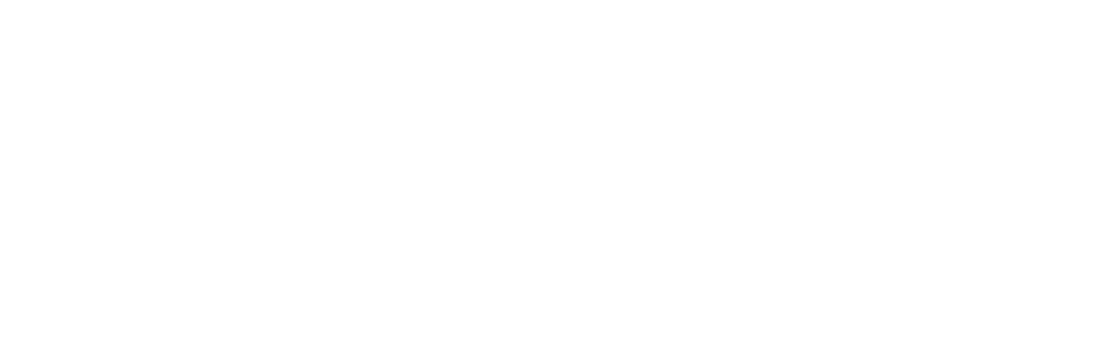 Skyzone Hosting